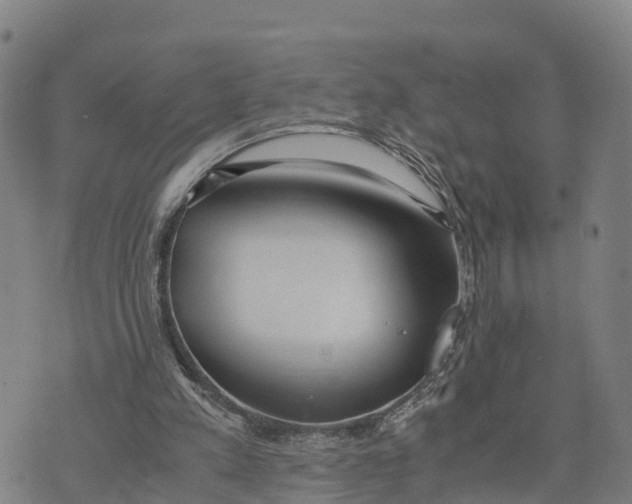 X0000072530197200608041605