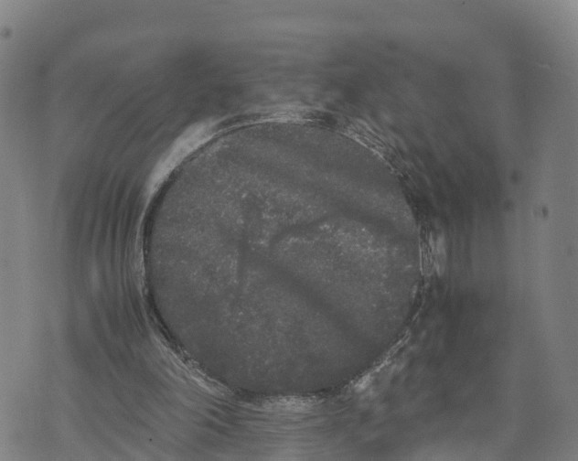 X0000072530198200608041605