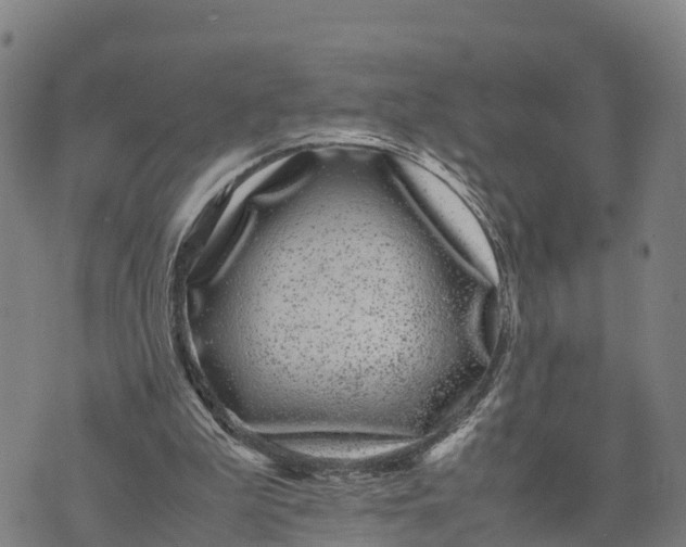 X0000072530199200608041605