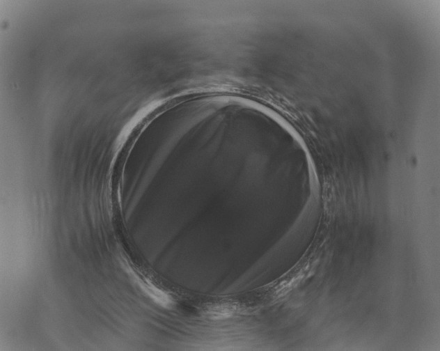 X0000072530200200608041605