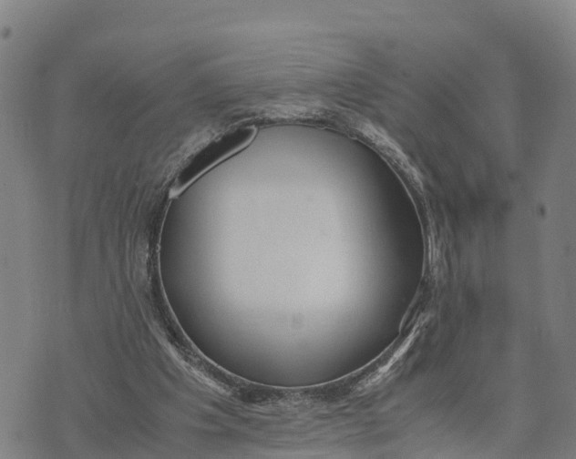 X0000072530201200608041605