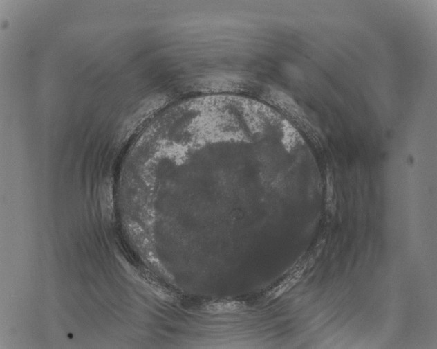 X0000072530202200608041605