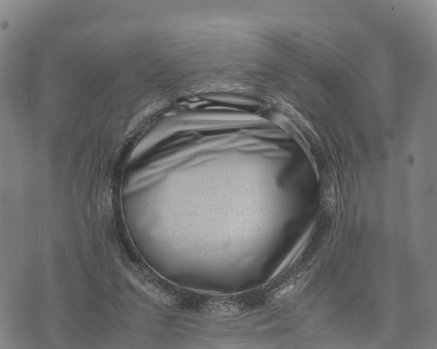 X0000072530207200608041605