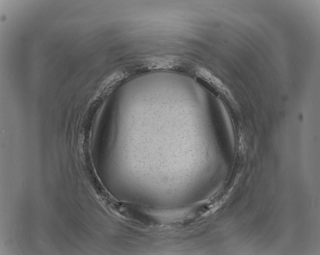 X0000072530209200608041605