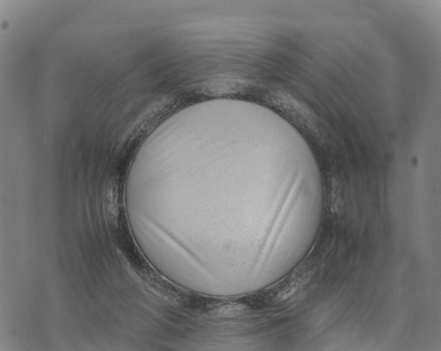 X0000072530210200608041605