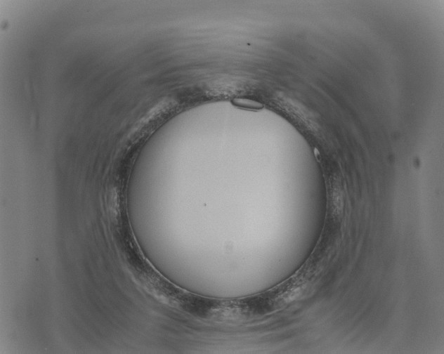 X0000072530211200608041605