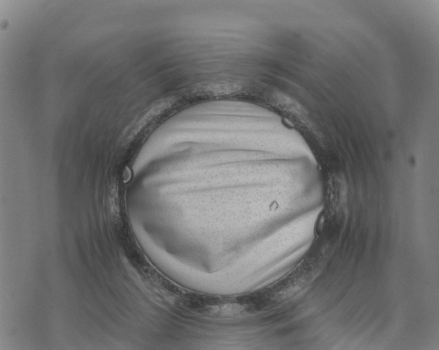 X0000072530212200608041605