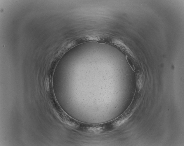 X0000072530213200608041605