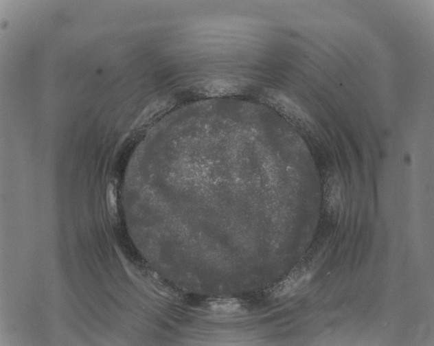 X0000072530214200608041605