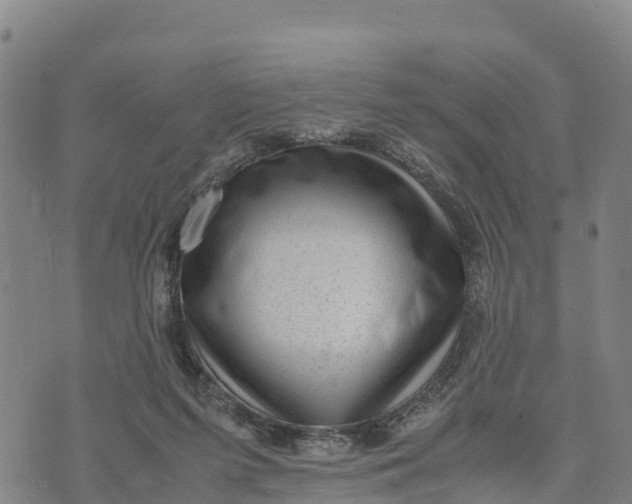 X0000072530215200608041605