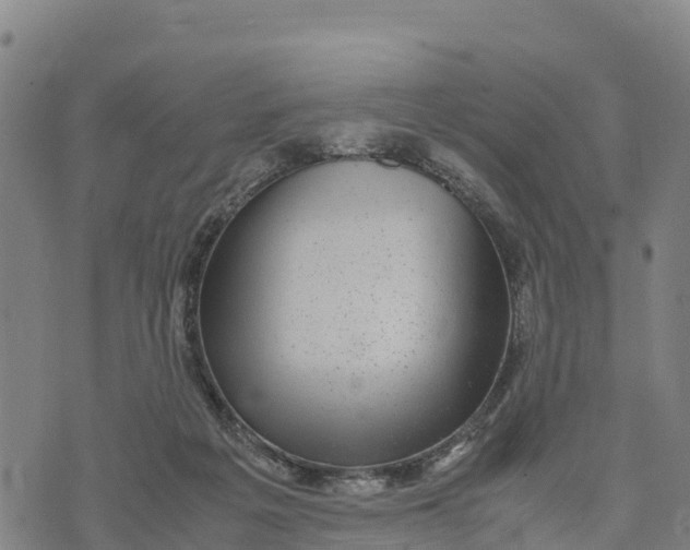 X0000072530217200608041605