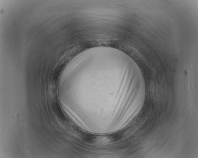 X0000072530218200608041605