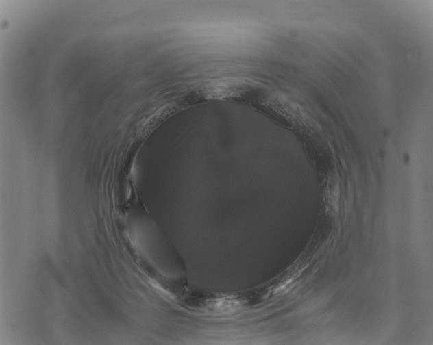 X0000072530219200608041605