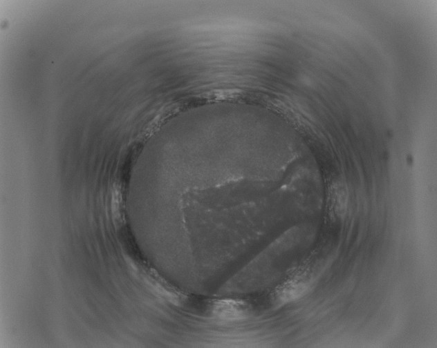 X0000072530222200608041605