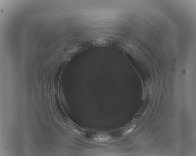 X0000072530223200608041605