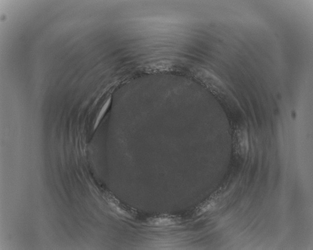 X0000072530224200608041605