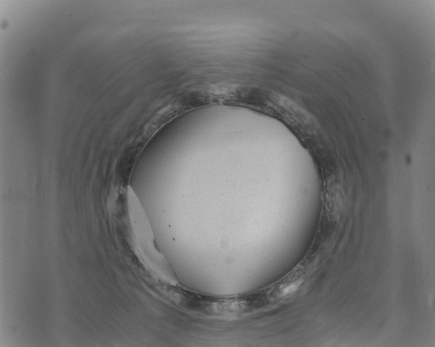 X0000072530225200608041605