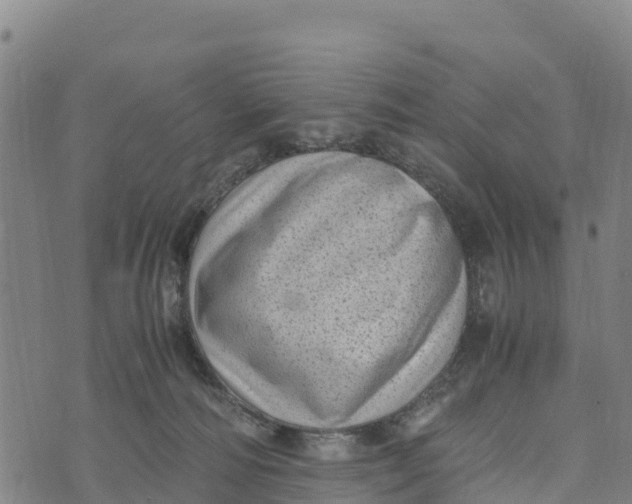 X0000072530226200608041605