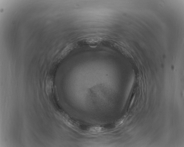 X0000072530227200608041605