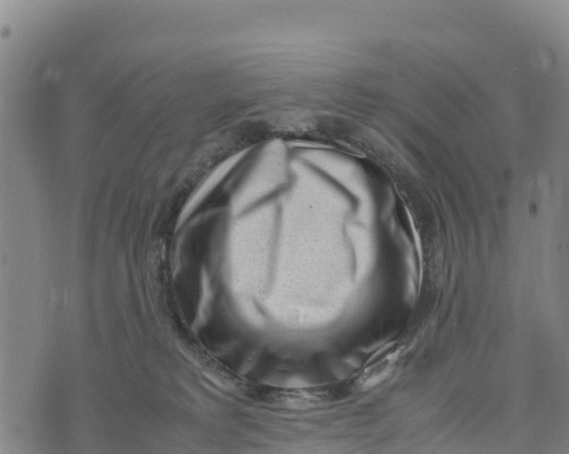 X0000072530229200608041605