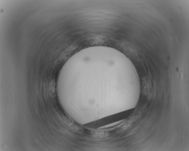 X0000072530230200608041605