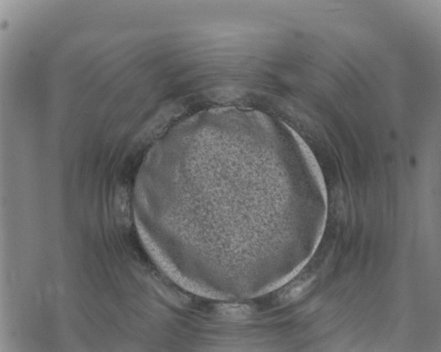 X0000072530234200608041605