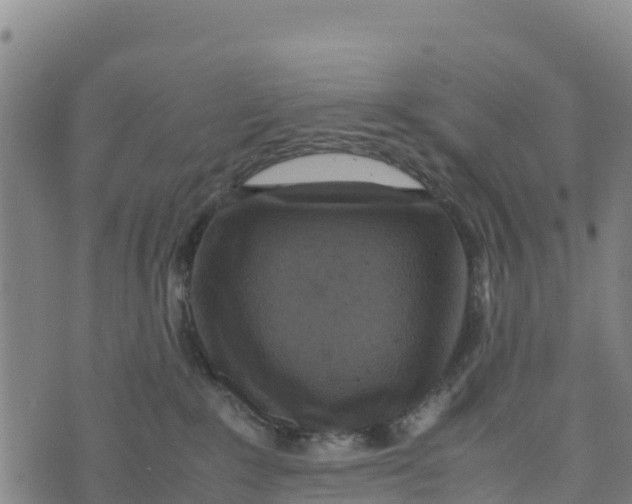 X0000072530235200608041605