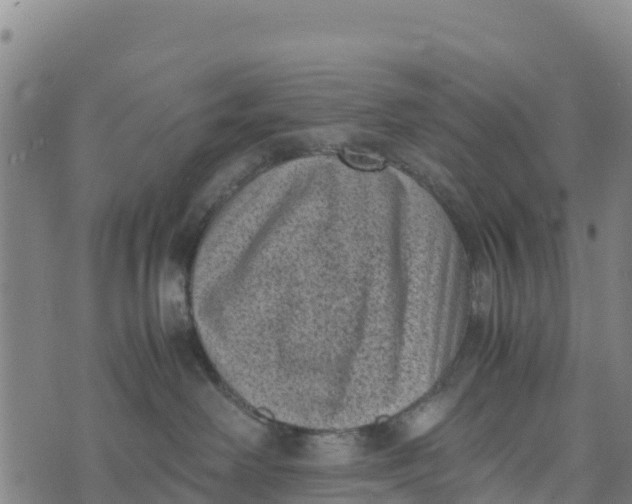 X0000072530238200608041605