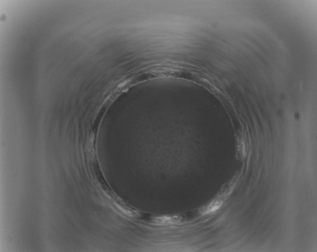 X0000072530239200608041605