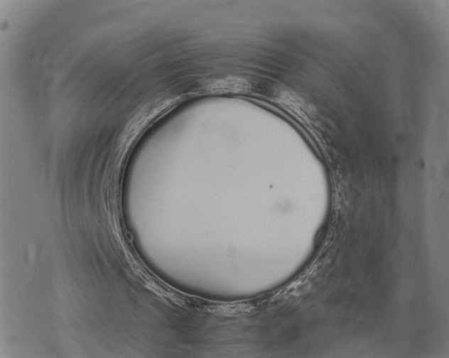 X0000072530241200608041604