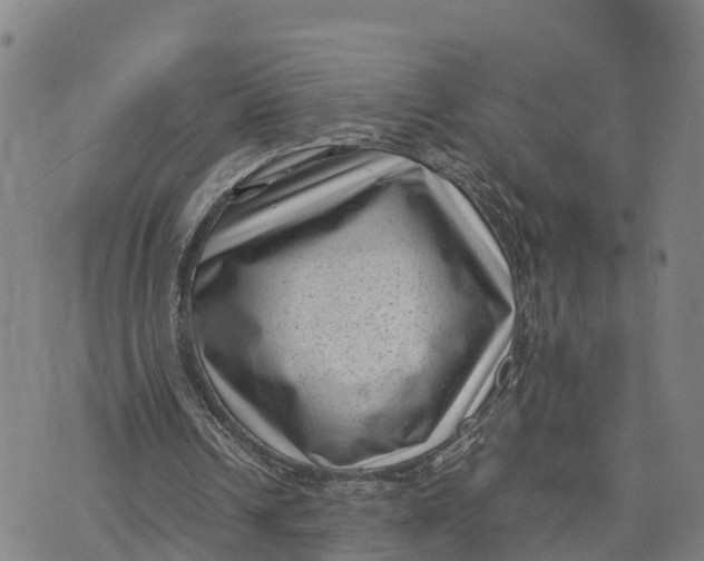 X0000072530242200608041604