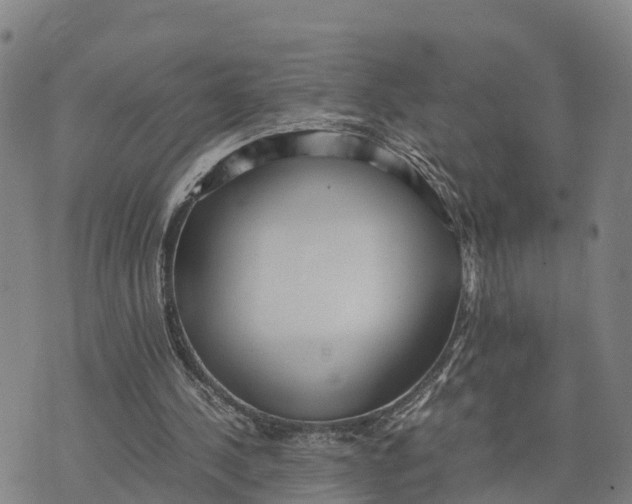 X0000072530244200608041604