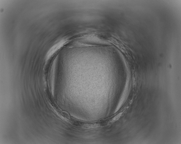 X0000072530245200608041604