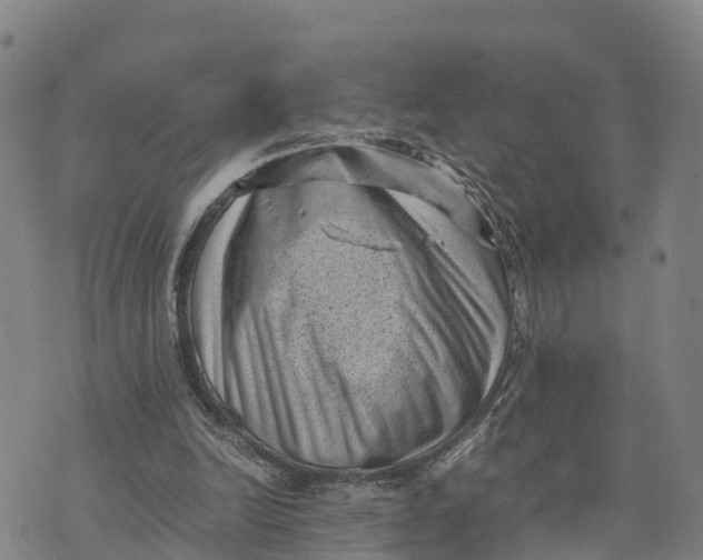 X0000072530246200608041604