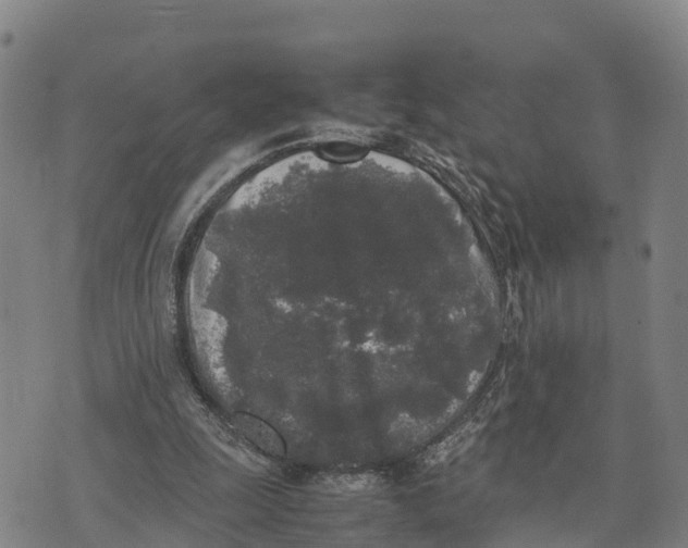 X0000072530247200608041604