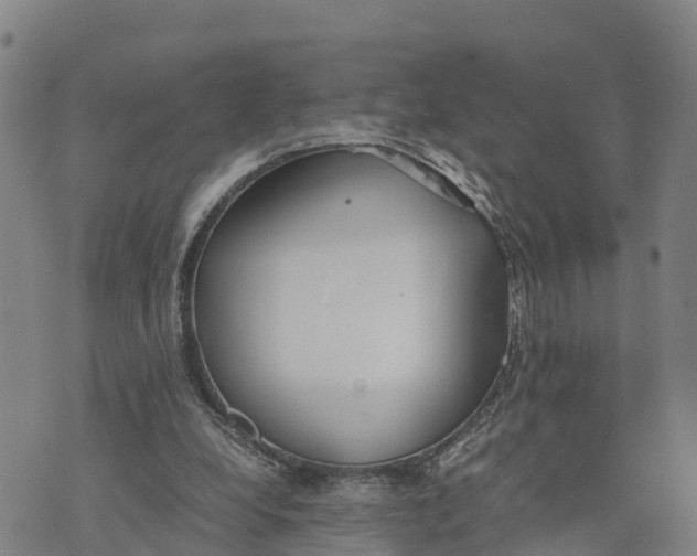 X0000072530248200608041604