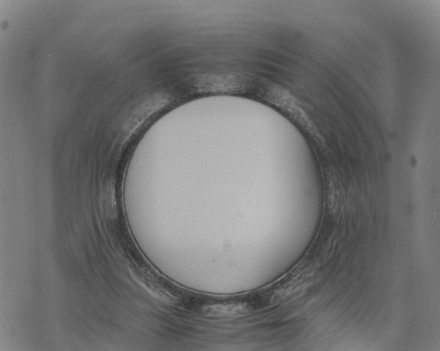 X0000072530251200608041604