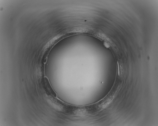 X0000072530252200608041604