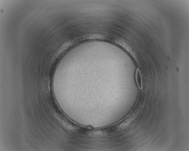 X0000072530253200608041604