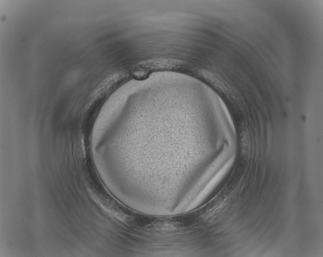 X0000072530254200608041604