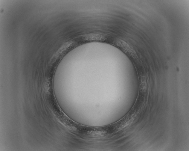 X0000072530255200608041604