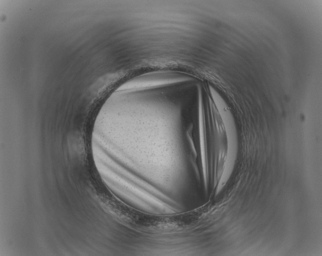 X0000072530256200608041604