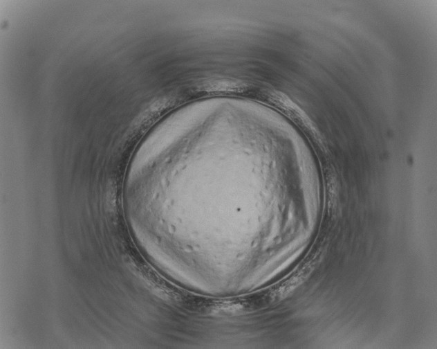 X0000072530257200608041604