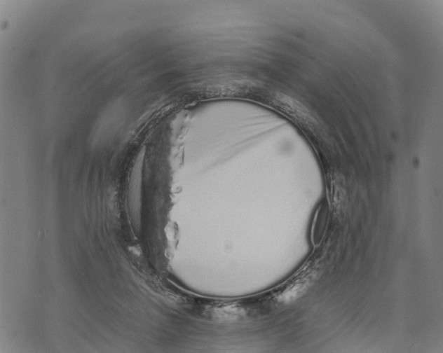 X0000072530258200608041604