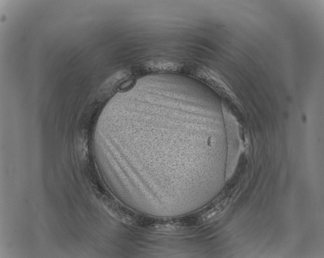 X0000072530259200608041604