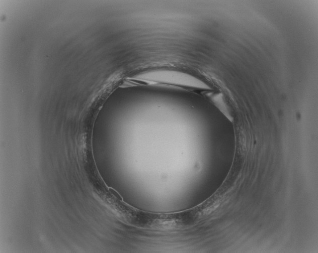 X0000072530260200608041604