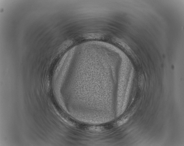 X0000072530261200608041604