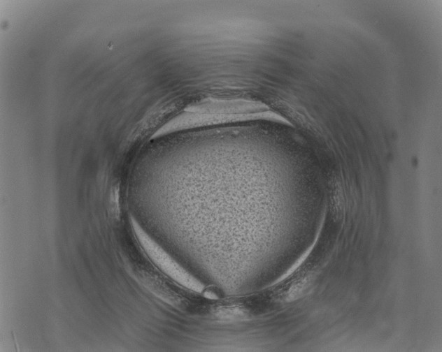 X0000072530262200608041604