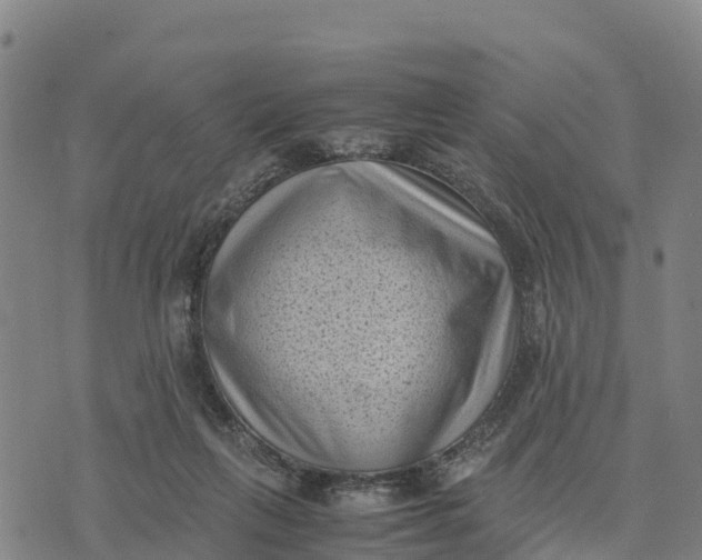 X0000072530263200608041604