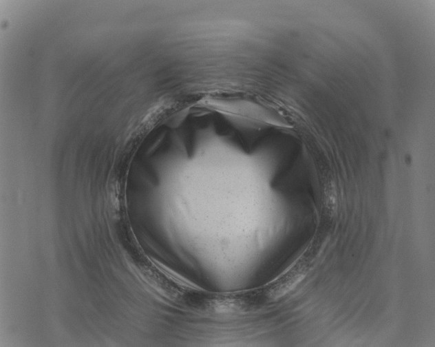 X0000072530264200608041604